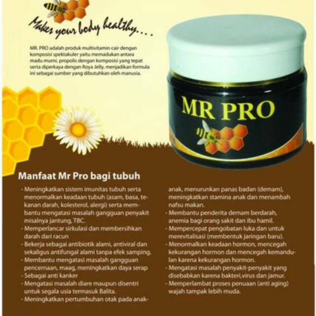 MR.PRO penggemuk badan herbal