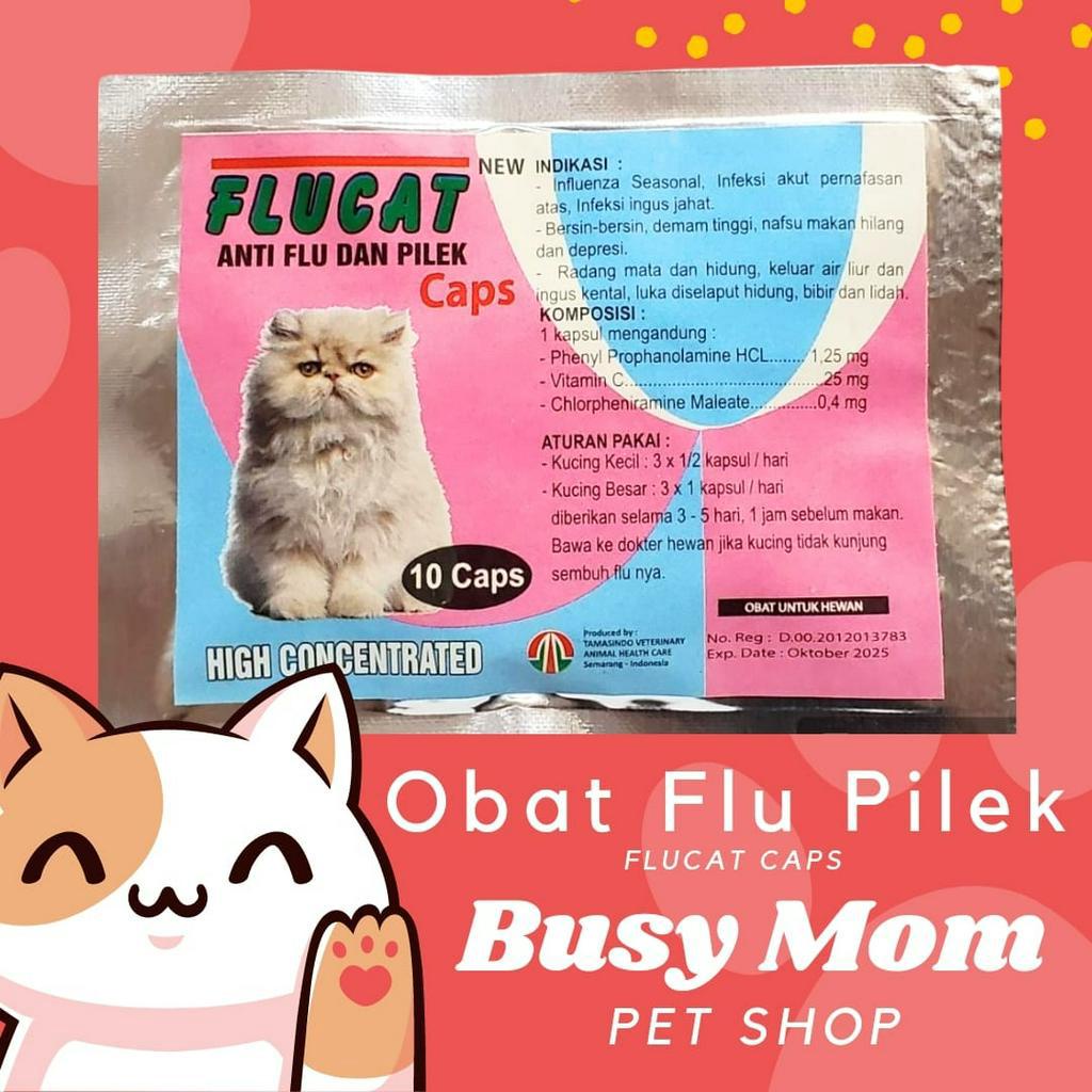 FluCat Anti Flu dan Pilek 10 Caps Flu Cat kapsul Influenza Kucing