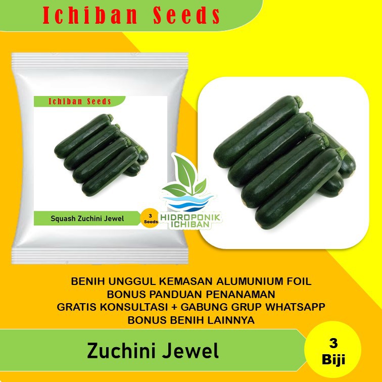 Benih Bibit Biji Mentimun Zuchini Jewel Known You Seed