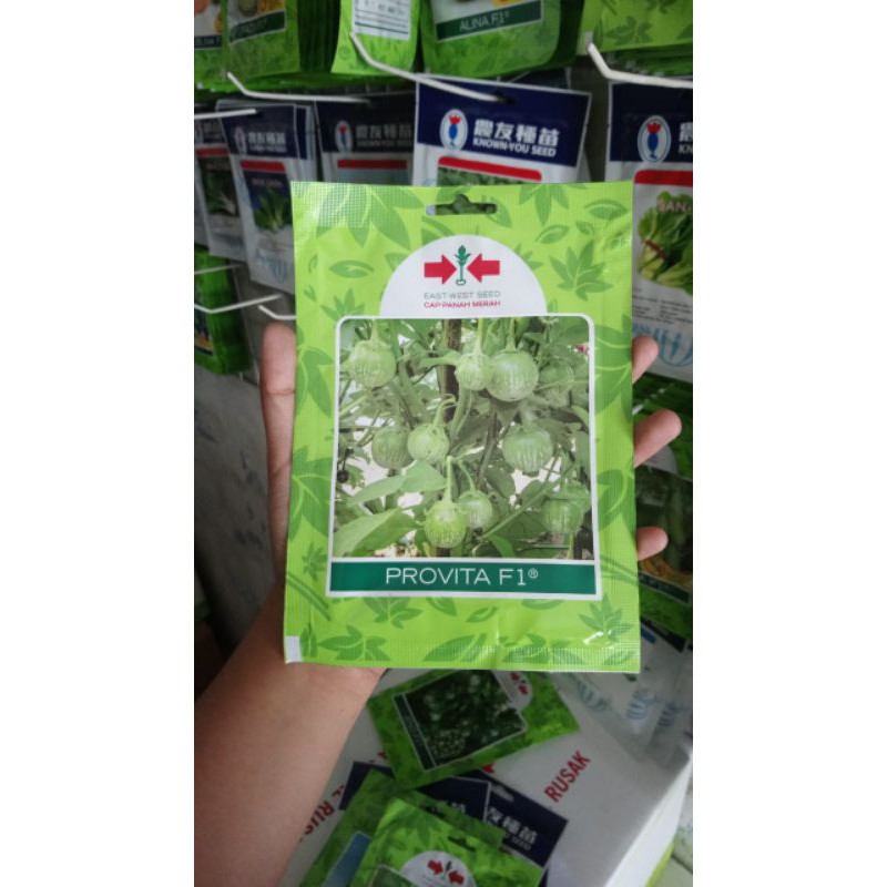 Benih Terong Lalap PROVITA F1