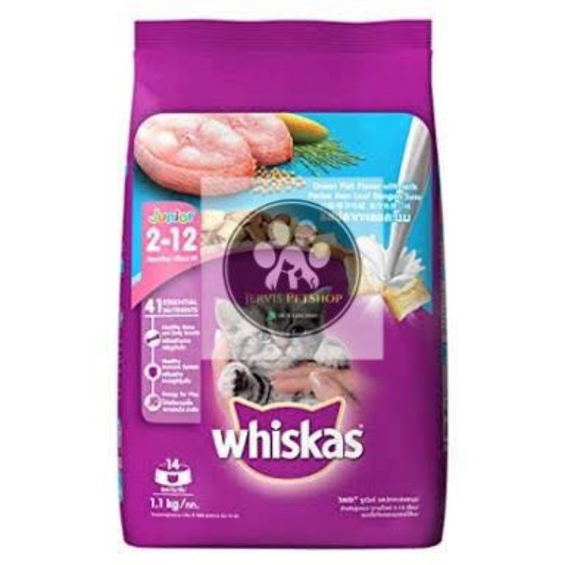 Makanan Kucing Whiskas Junior Ocean Fish 1,1kg FRESH PACK.