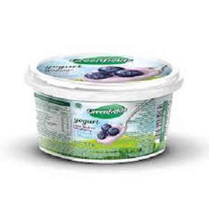

Green Field STIRRED YOGURT all varian 500 GR