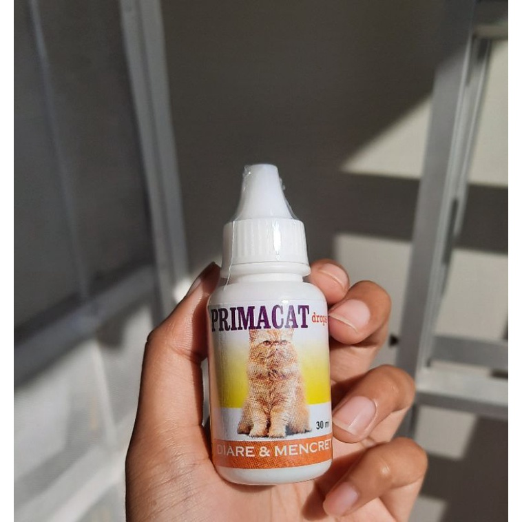 Obat Diare Kucing | Prima Cat