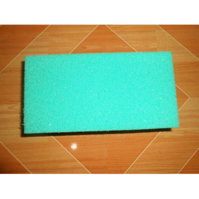 Busa kering atau oasis kering