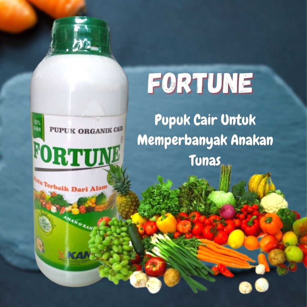 PUPUK ORGANIK CAIR (POC) pohon kelapa, Fortune Perangsang Getah Karet, Pupuk Budidaya Karet, ZPT Pen