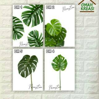 WALL DECOR MONSTERA  HIASAN  DINDING  PAJANGAN DINDING  DAUN 