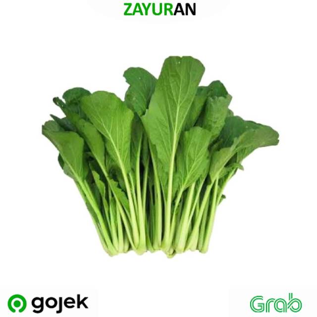

Kailan | Zayuran