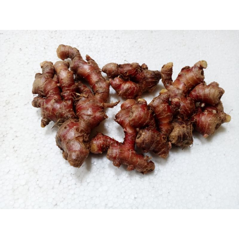 

Jahe Merah Super Fresh 1 kg