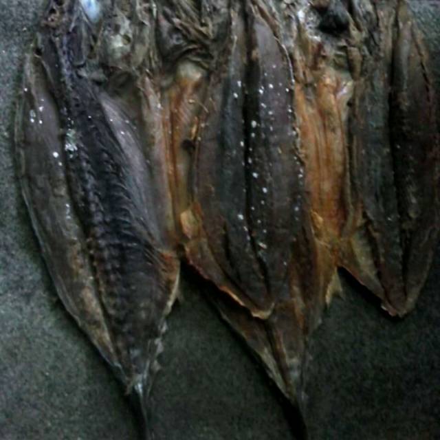 

Ikan kering tongkol
