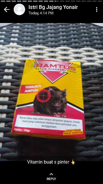 Terbukti Ramtus Racun Tikus Paling Ampuh