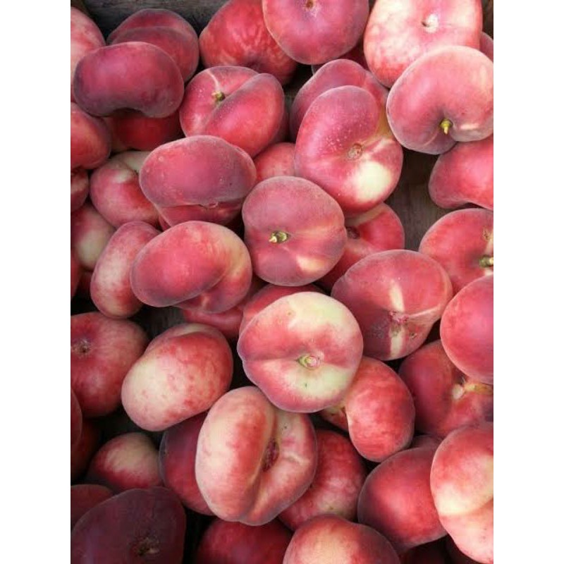 

Peach Donut Australia 500 gram / pack