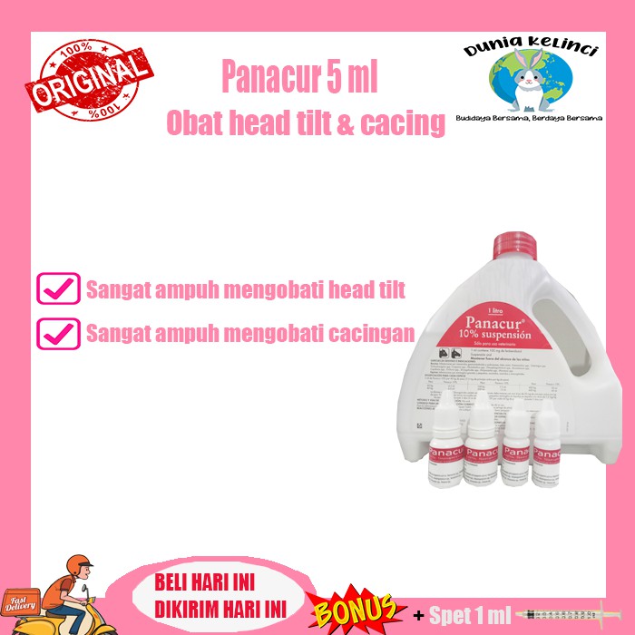 OBAT HEAD TILT CACING PANACUR 5 ML KELINCI KUCING HEWAN