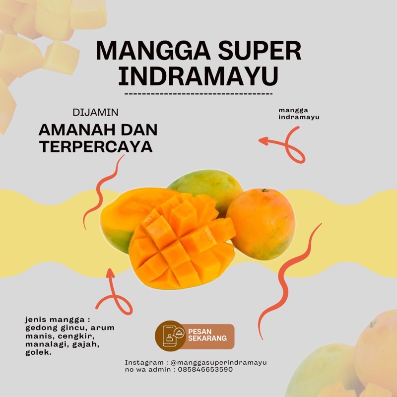 

Manggasuperindramayu