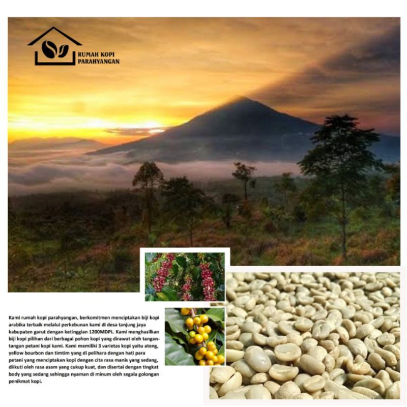 

green bean arabika natural yellow bourbon /biji kopi mentah /natural proses