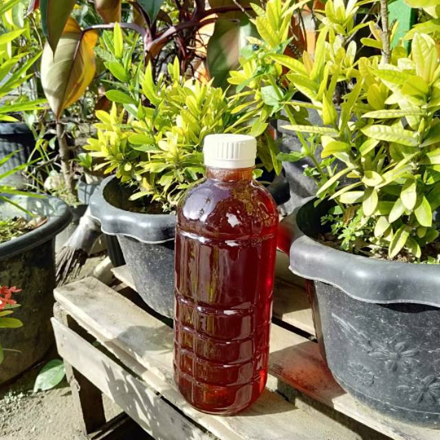 

Madu Hutan asli ukuran 500ml