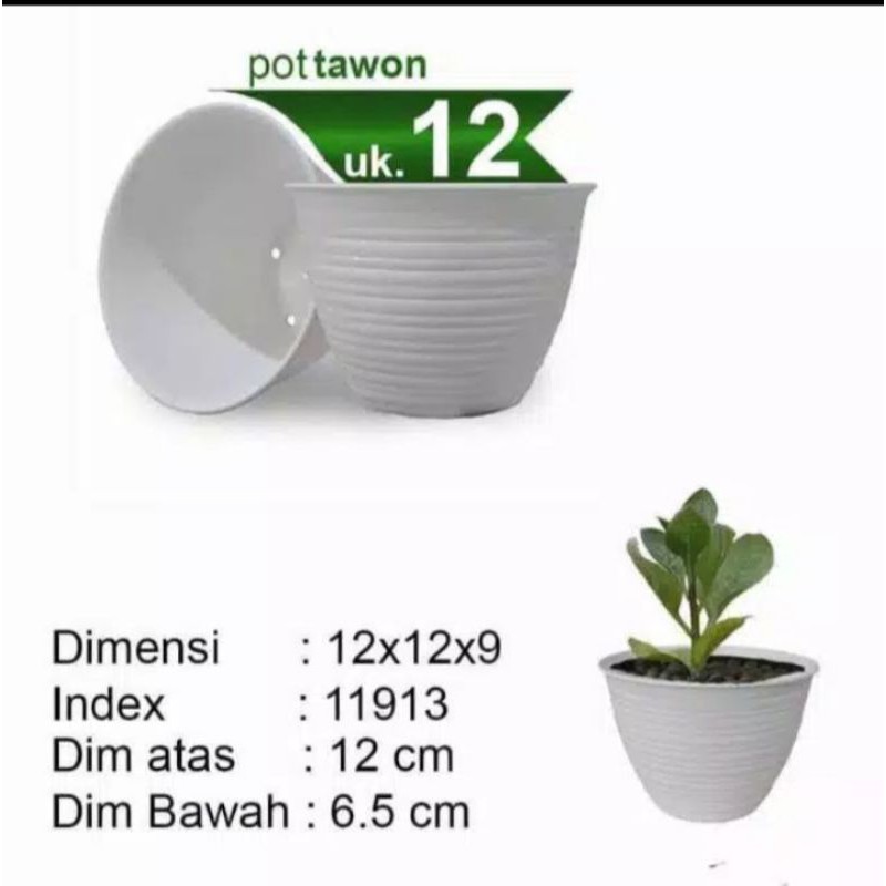 Pot Tawon 12 cm Putih Pot Bunga Kekinian Model Minimalis dan Bersih