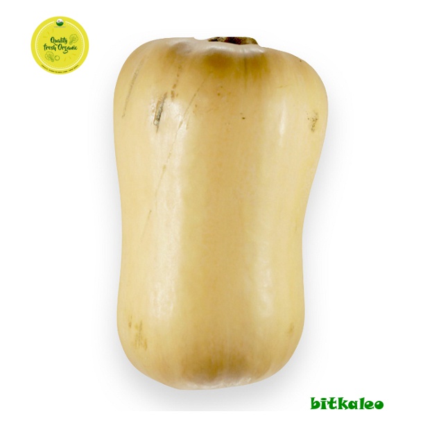 

Labu Butternut Organik 1 Kg (PO)