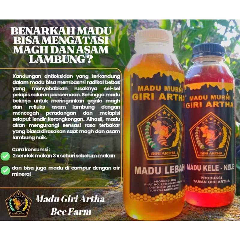 

Madu Lebah dan Kelanceng Asli