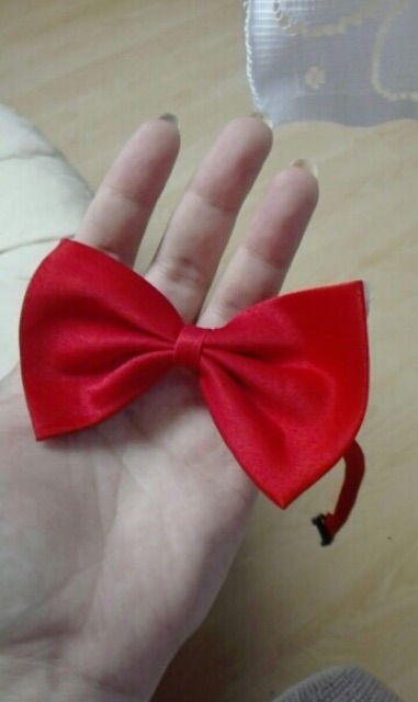 Basic bow tie