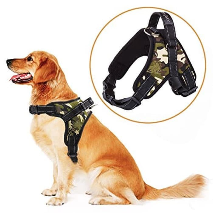 harness anjing type b / harness anjing medium & besar