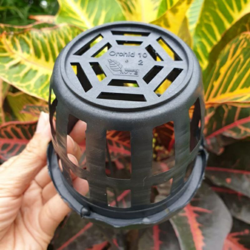 pot hoya pot anggrek dengan gantungan 10cm