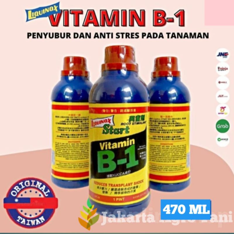 Jual Pupuk Vitamin B1 Tanaman 470ml Taiwan | Shopee Indonesia