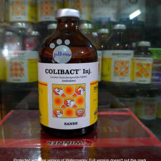 ORIGINAL colibact inj 50 ml dan colibact 100ml / obat hewan ternak