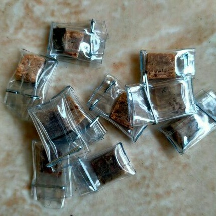 (COD) Gambir Siam Padat