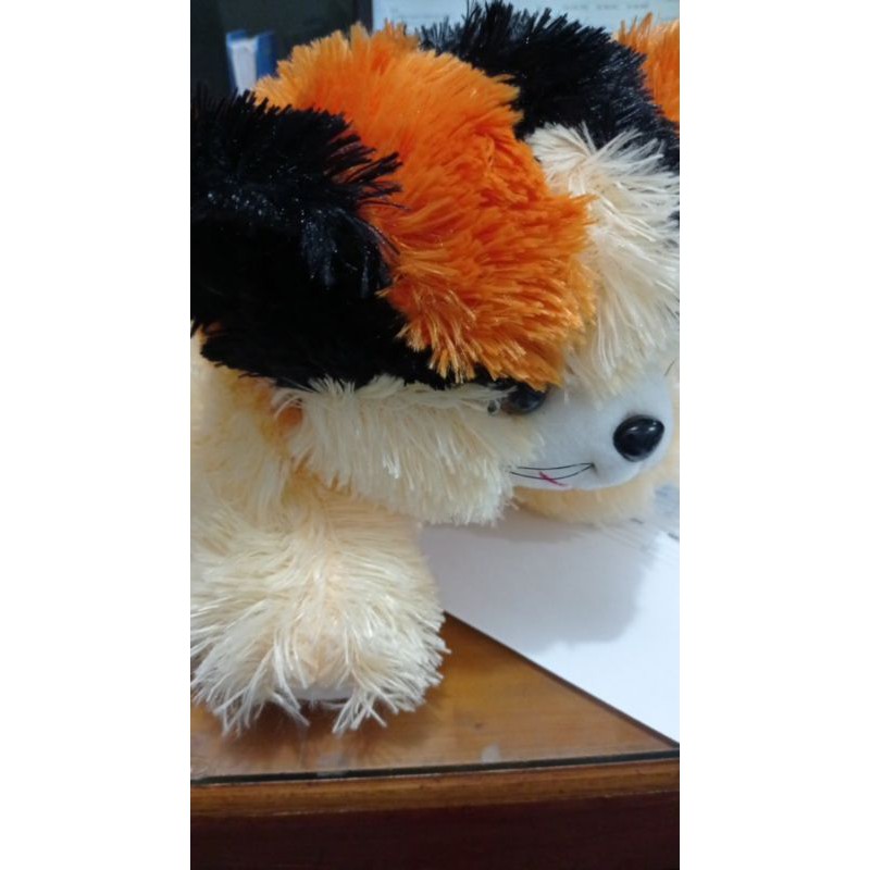 BONEKA KUCING 35 CM / BONEKA KUCING RCTI TERMURAH TERLARIS / BONEKA CAT MURAH