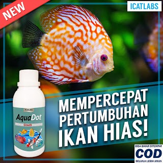 [B4] AQUADOT PAKAN GROWTH IKAN IKAN KOI IKAN LOUHAN IKAN KOKI AQUARIUM IKAN HIAS IKAN ARWANA ARWANA