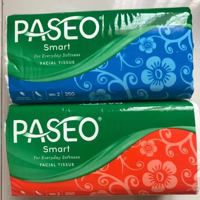 TISSUE PASEO 2 PLY 250 SHEET