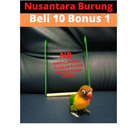 AYUNAN LOVEBIRD MAINAN AYUNAN BURUNG LOVE BIRD