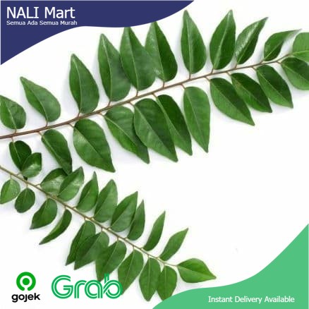 

Daun Kari (1Pack) / Daun Salam Koja Sayur Online Bumbu Rempah