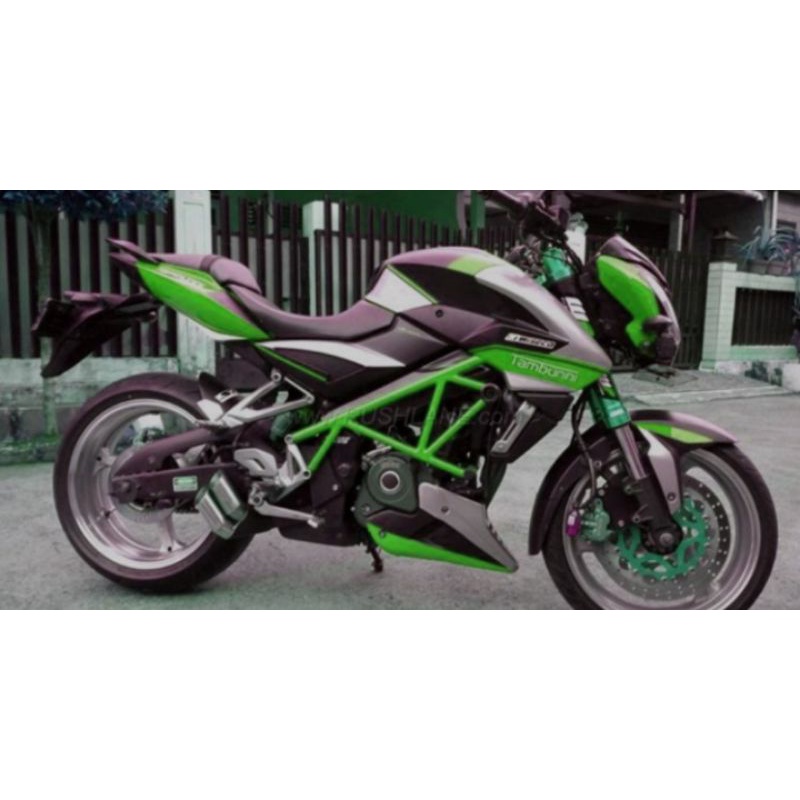 tubular/crashbar kawasaki pulsar 200ns custom