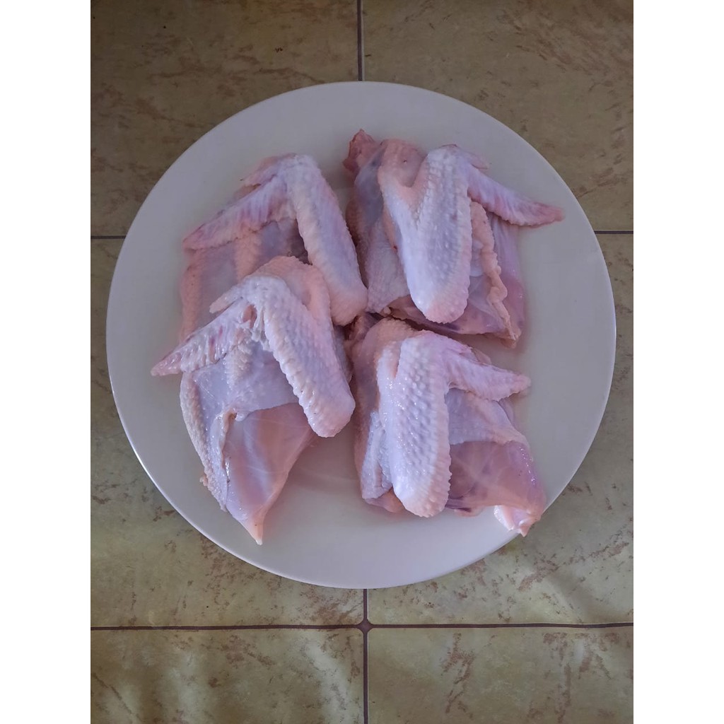 

Ayam Pejantan Potong Fresh 1 KG Hidup