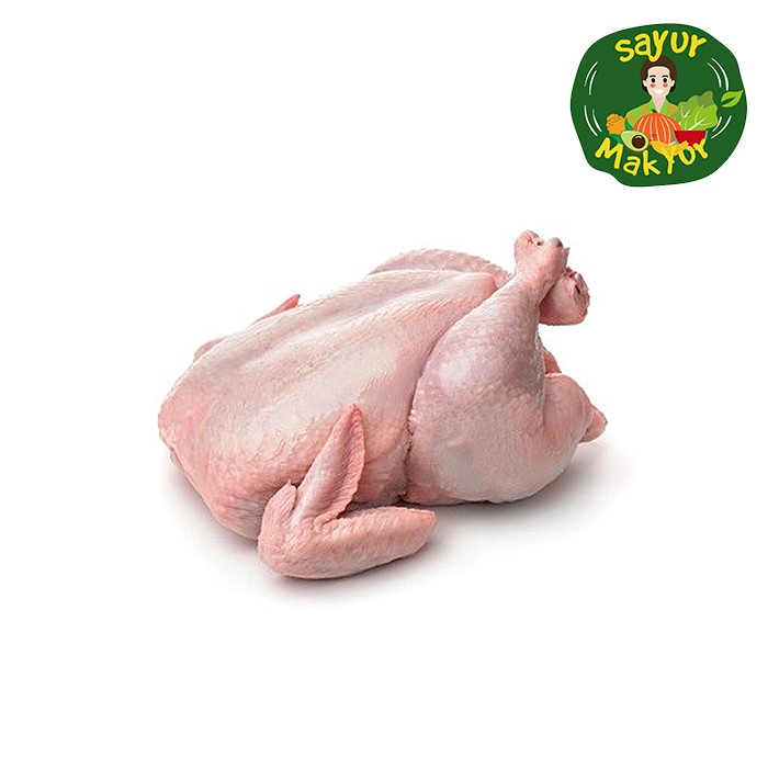 

Ayam Broiler Utuh 1 Ekor 1 Kilogram | Sayur Mak Yur Medan | sayurmakyur