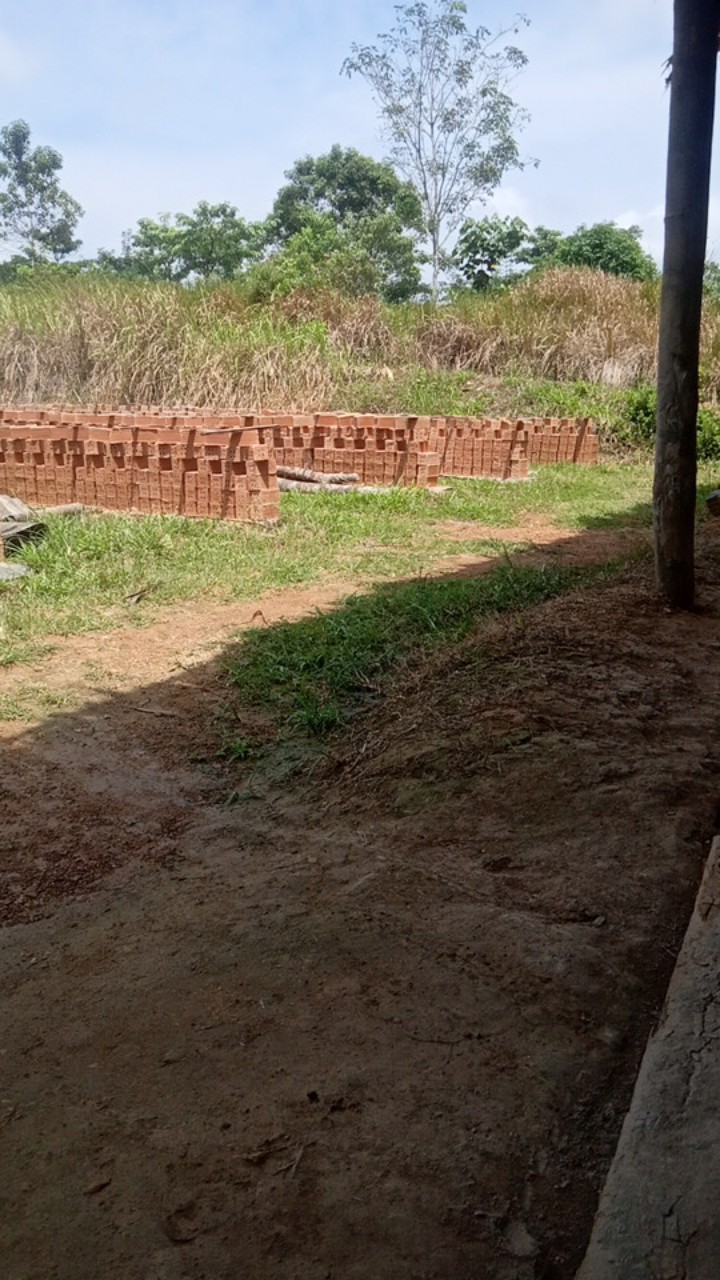 Promo (2-10th) Kemeja Batik Anak Original Hem Batik Anak Kemeja Anak Batik Anak Terlaris