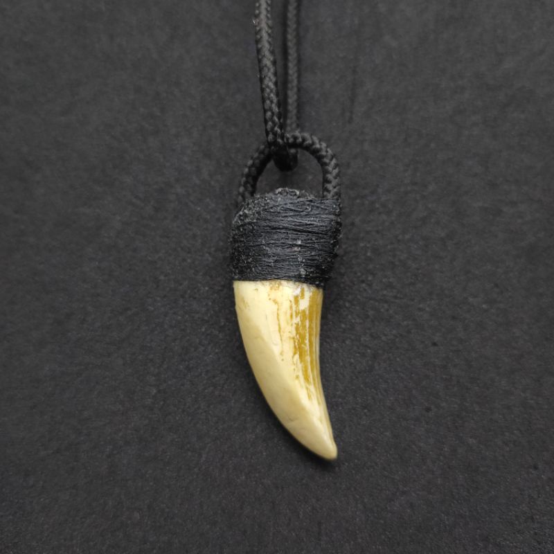 kalung taring buaya 03