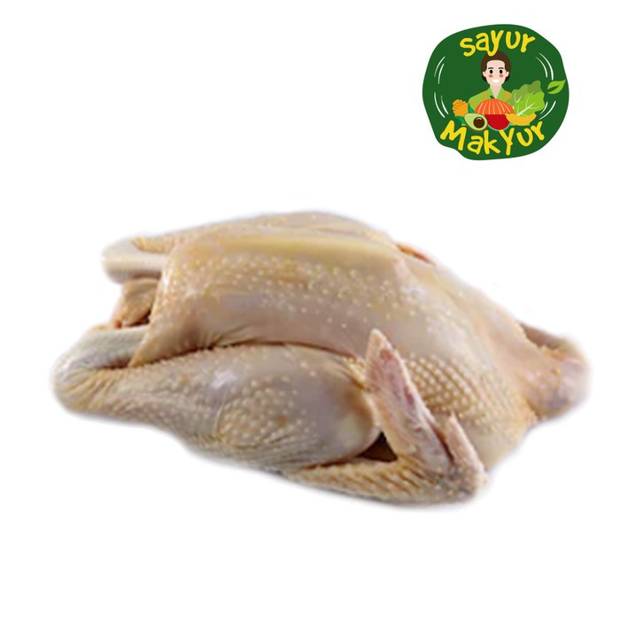 

Ayam Kampung | Sayur Mak Yur Medan | Sayurmakyur