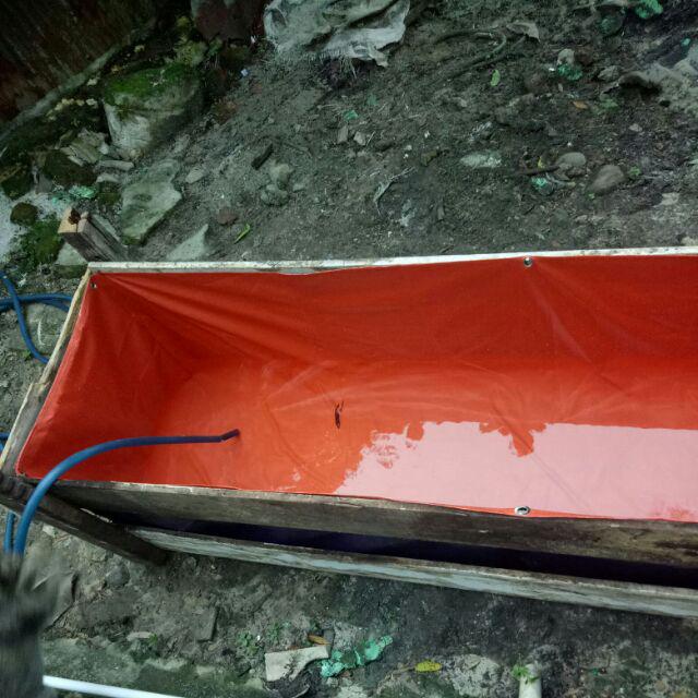 Kolam Terpal Kotak 2mx50cmx50cm Type A12 Packing Bullbe Warp