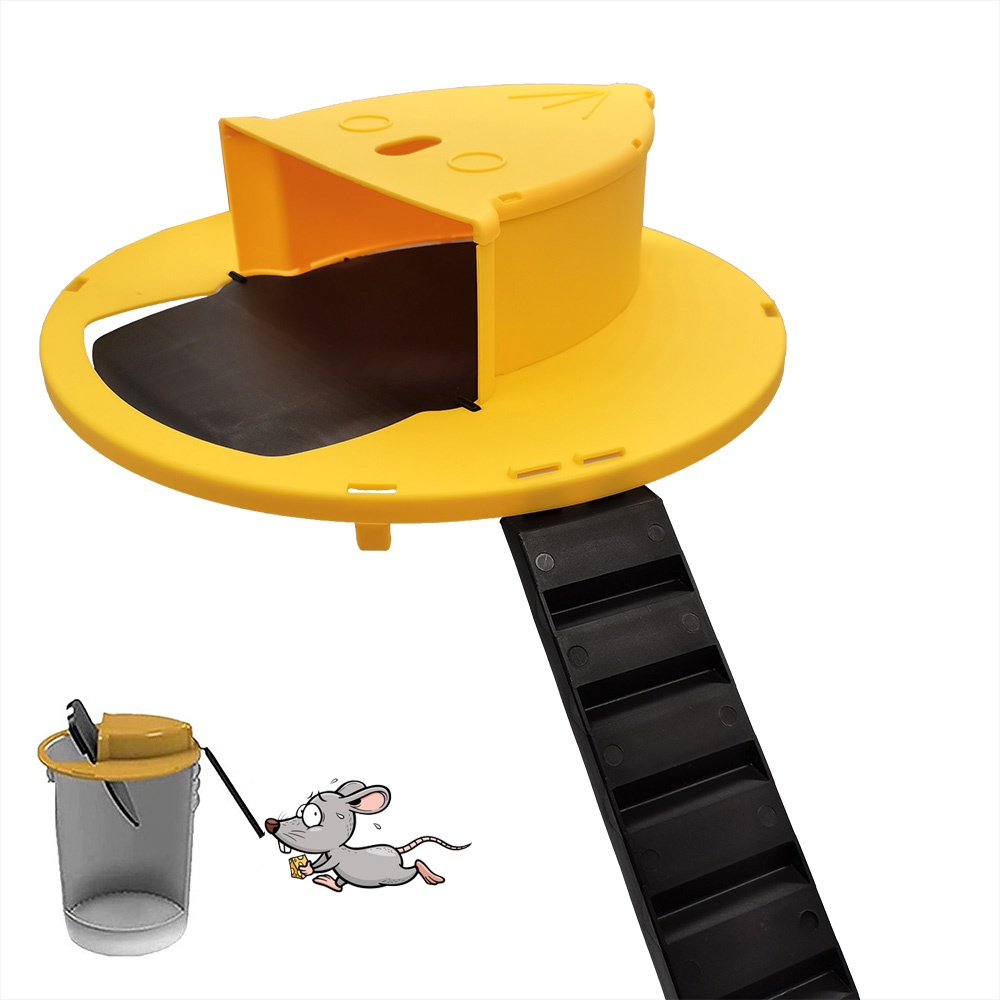 Jebakan Perangkap Tikus