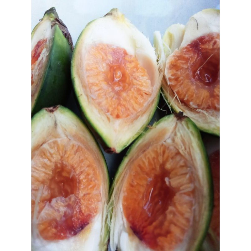 

Buah pinang muda segar/jebug 1kg