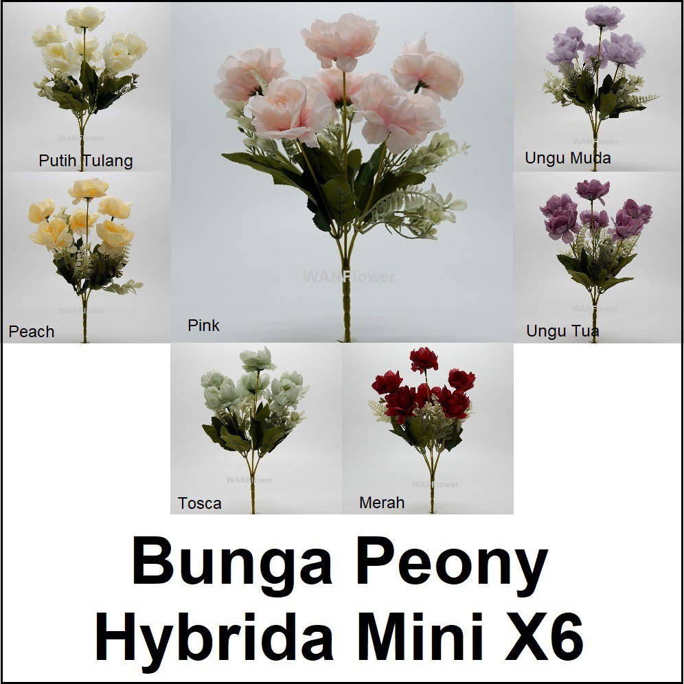 WANFLOWER Bunga Peony Hybrida Mini X6 * ALL