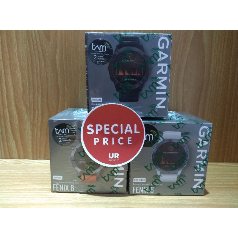 GARMIN FENIX 6