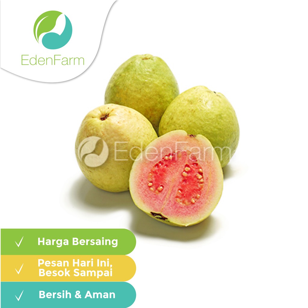 

Jambu Merah 250gr Eden Farm