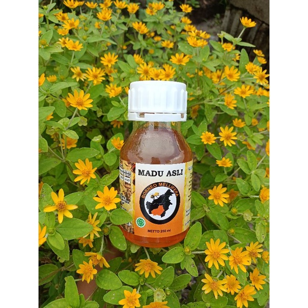 

Madu Borneo Mellifera 250ml