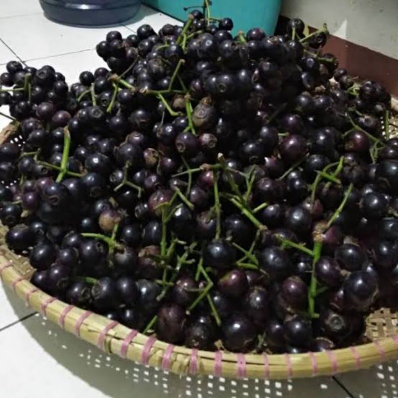 

Jual buah kupa/ buah gowok/buah langka/buah kali asem murah 1kg