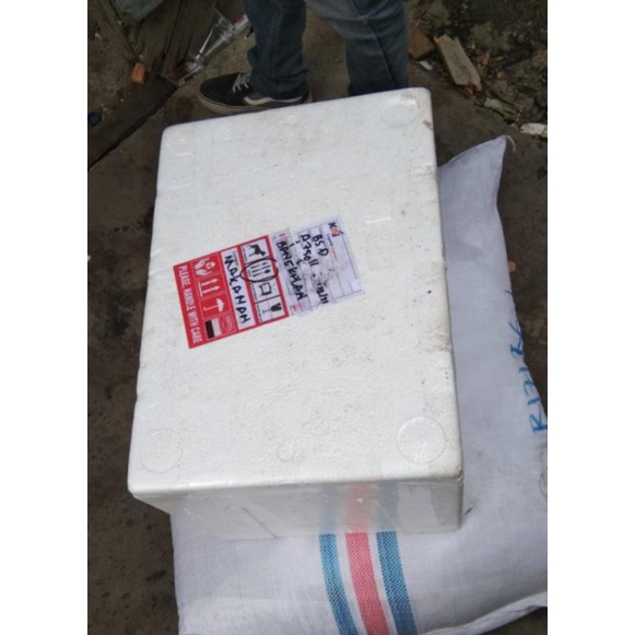 

Paket bebek vakum 50 porsi pengiriman free Kereta