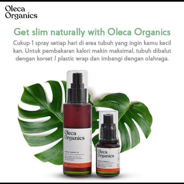 oleca slimming oil