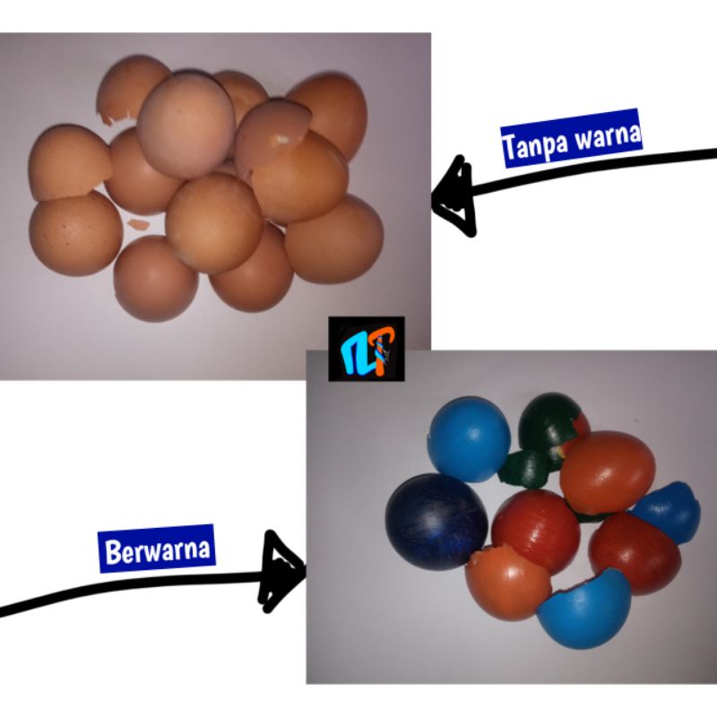 Cangkang telur ayam berwarna sudah bersih prakarya kerajinan tinggal pakai